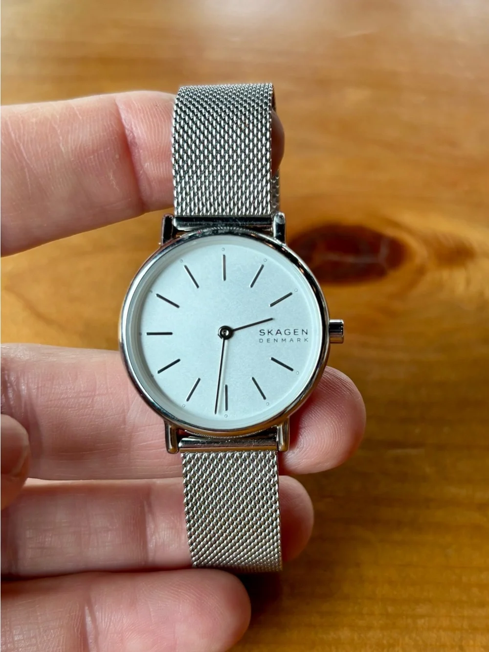 Skagen Silver Minimalist Mesh Watch